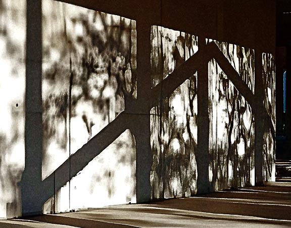 芦屋プラン株式会社七夕（たなばた1 Copilot